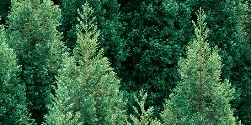 Adjusting Care Routines