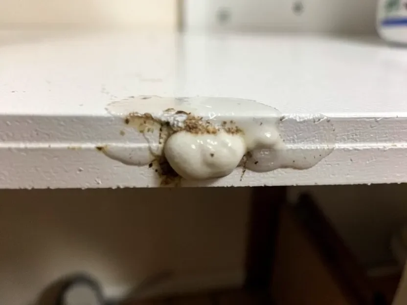 Swollen edge on an MDF panel from water damage