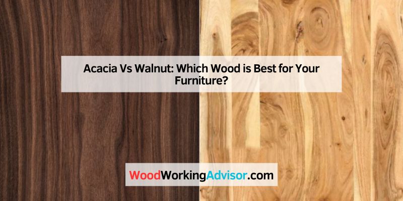 Acacia Vs Walnut