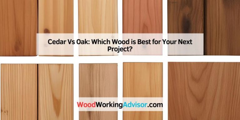 Cedar Vs Oak: Which Wood is Best for Your Next Project?