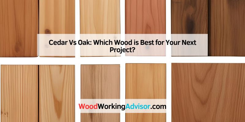 Cedar Vs Oak: Which Wood is Best for Your Next Project?