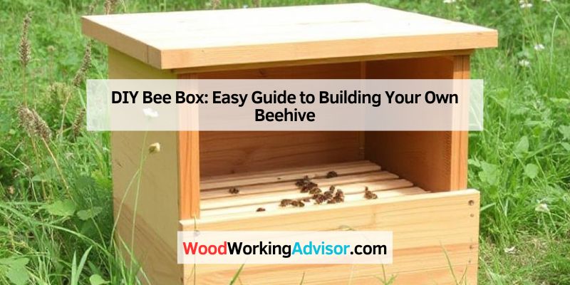 DIY Bee Box: Easy Guide to Building Your Own Beehive