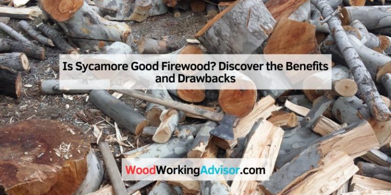 Is Sycamore Good Firewood