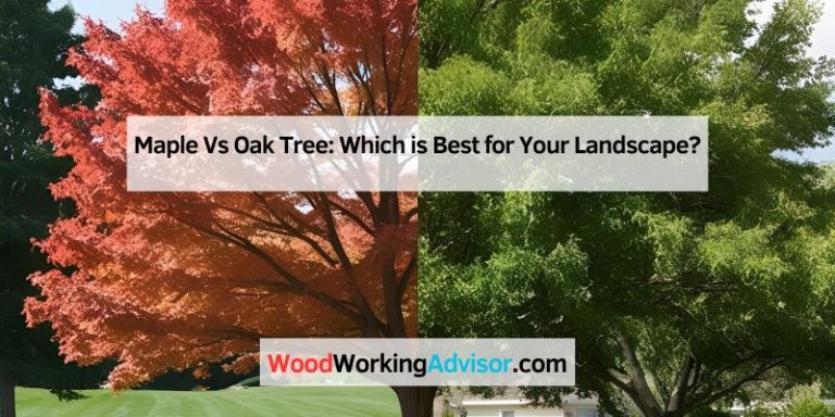 Maple Vs Oak Tree: Which is Best for Your Landscape?