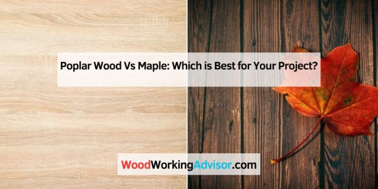 Poplar Wood Vs Maple: Which is Best for Your Project?