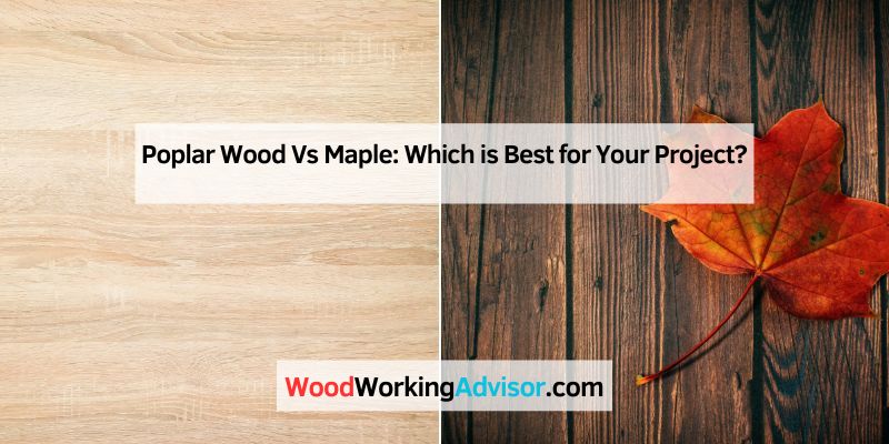 Poplar Wood Vs Maple: Which is Best for Your Project?
