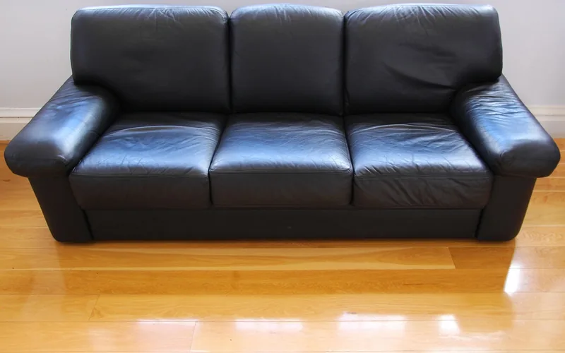 Black leather sofa in a modern living room Black leather sofa in a modern living room
