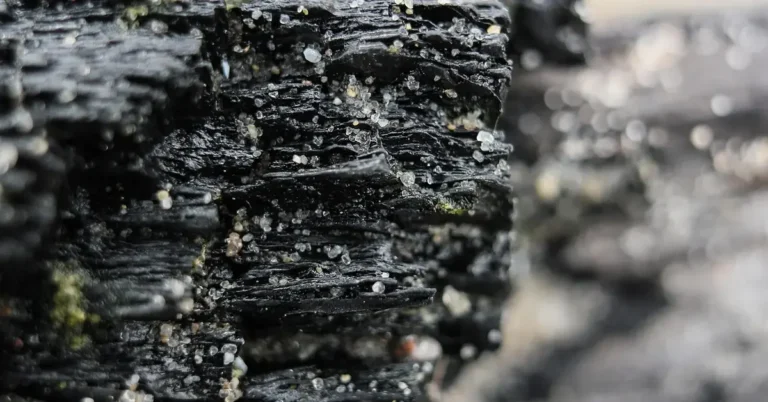 Close-up of charred wood grain showing layered black char