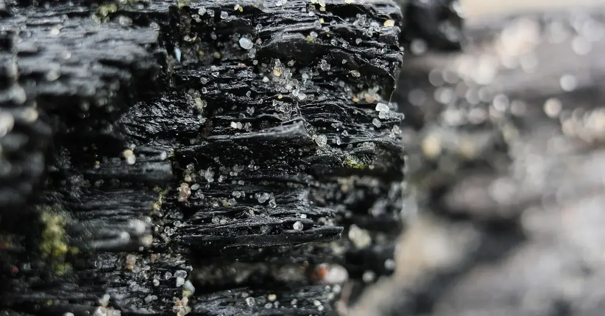 Close-up of charred wood grain showing layered black char