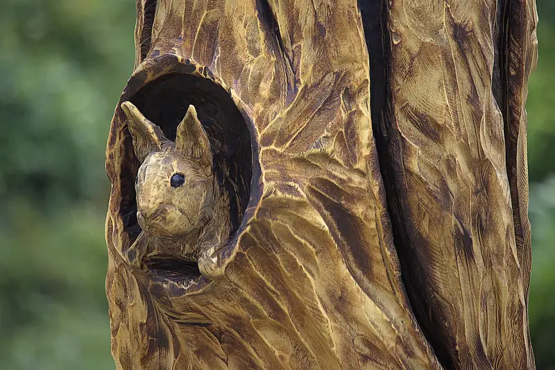 Carved squirrel peeking out of a hollow cut into a tree stump