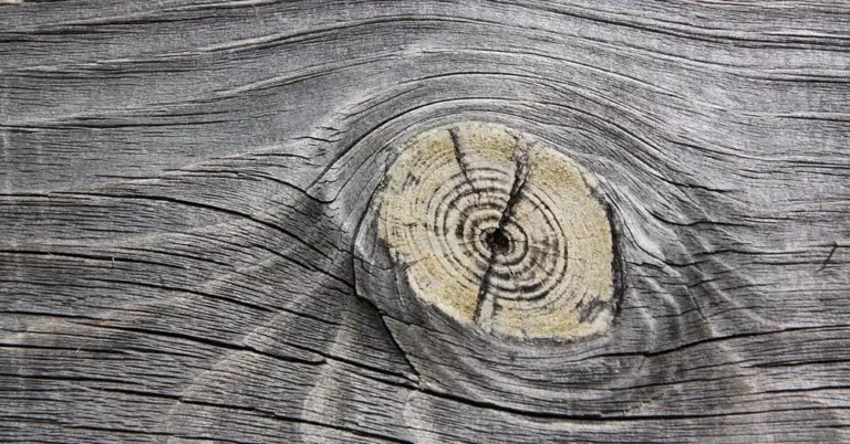 Weathered wooden board with a cracked knot and surface checks