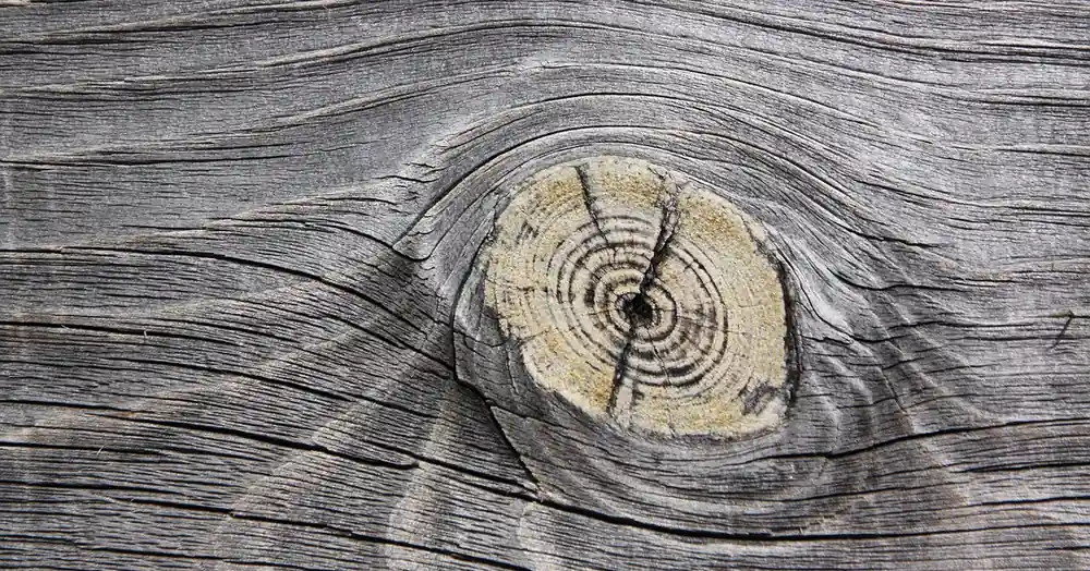 Weathered wooden board with a cracked knot and surface checks