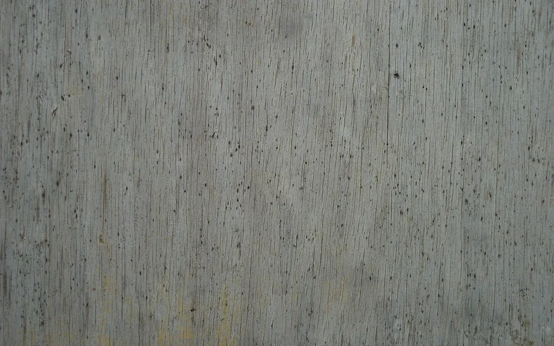 Dark speckled spots on a weathered wood surface