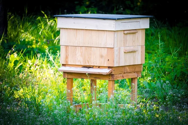 Wooden Langstroth beehive on stand in a garden setting