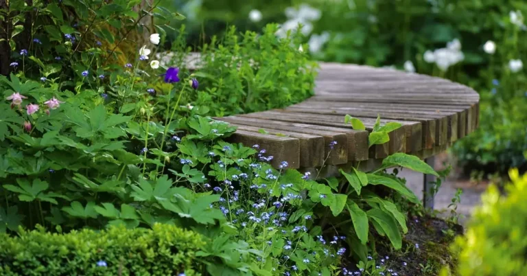 wooden garden bench nestled among blue and white flowers in a landscaped border