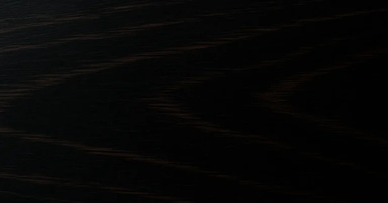 Close-up of polished ebony wood surface showing deep black color with subtle brown grain