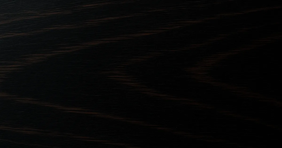 Close-up of polished ebony wood surface showing deep black color with subtle brown grain