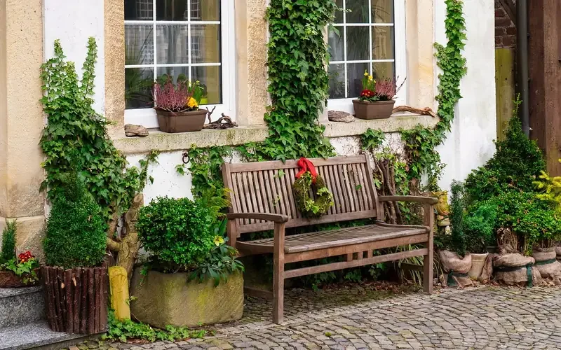 finished wooden garden bench surrounded by ivy and potted plants against a house wall