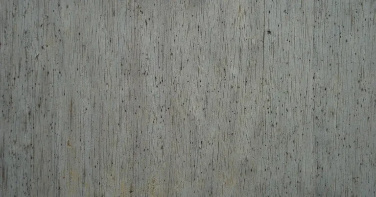 Gray weathered wood board with dark mildew speckling