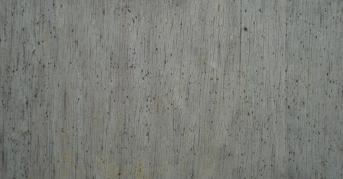 Gray weathered wood board with dark mildew speckling