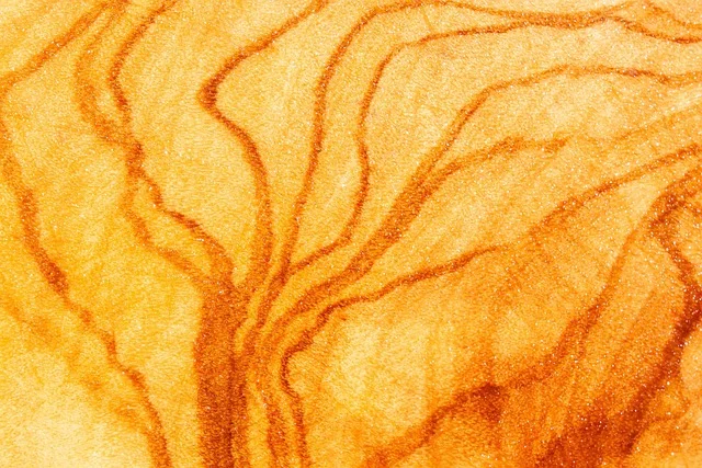 Close-up of oiled wood grain showing the warm amber finish oil gives