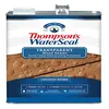 Thompson's WaterSeal Transparent Wood Sealer