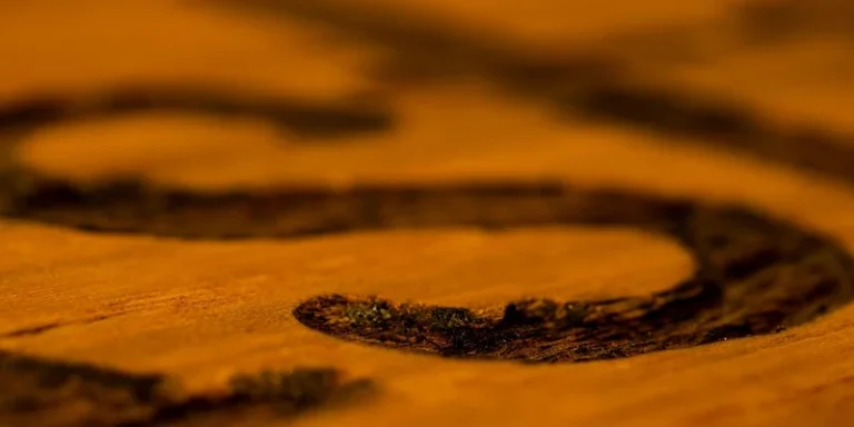 Rich dark oil-finished wood grain close-up