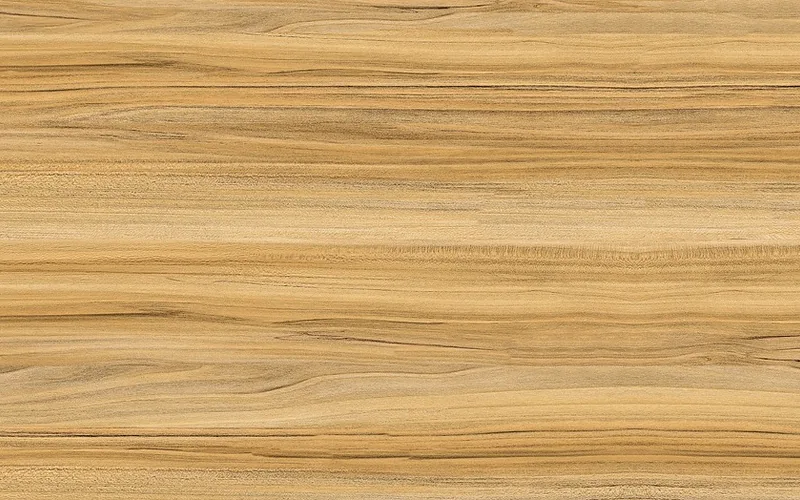 close-up of real teak wood grain showing tight, straight lines and natural color variation close-up of real teak wood grain showing tight, straight lines and natural color variation