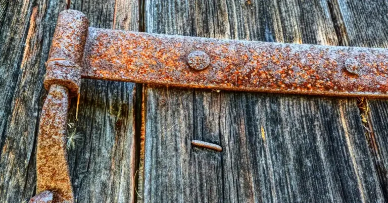 Rusty strap hinge on a weathered wooden door
