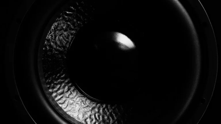 Close-up of a bare subwoofer driver cone and surround before it is mounted in a DIY enclosure