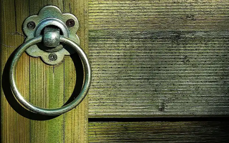 close-up of a solid wood front door showing natural grain and hardware
