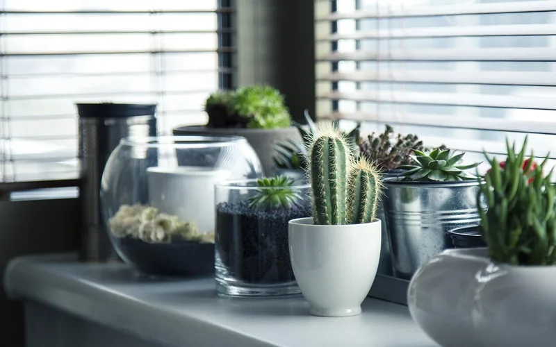 wood shelf styled with plants and decor items in natural light