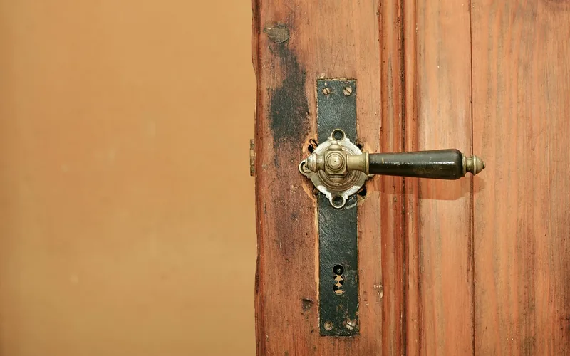Close-up of a brass lever handle on a natural wood teak-style door