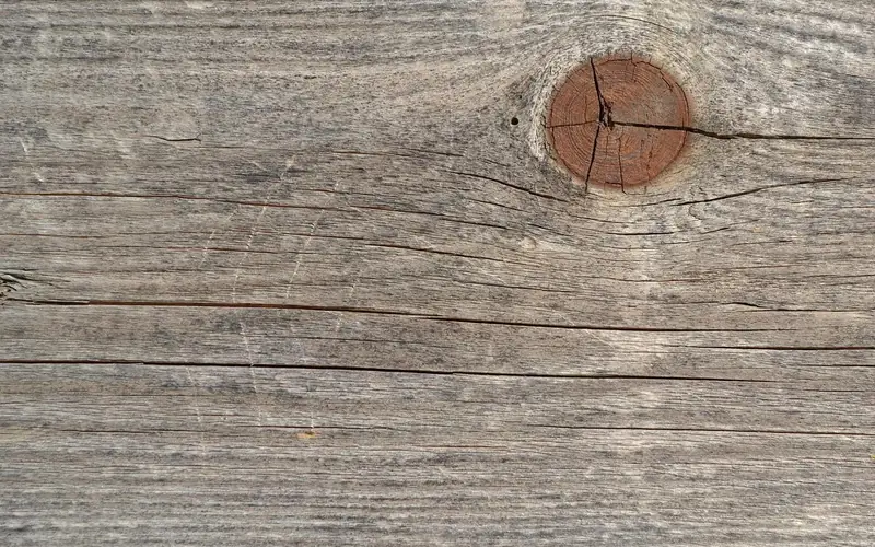 Weathered board with a knot and hairline cracks that need filling