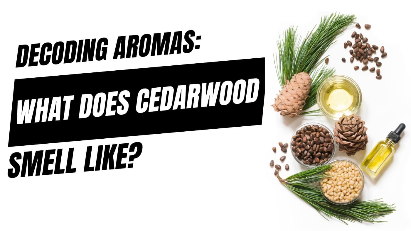 What Does Cedar Smell Like