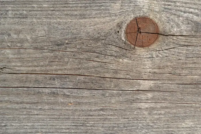 Weathered board showing fine surface checks and a cracked knot