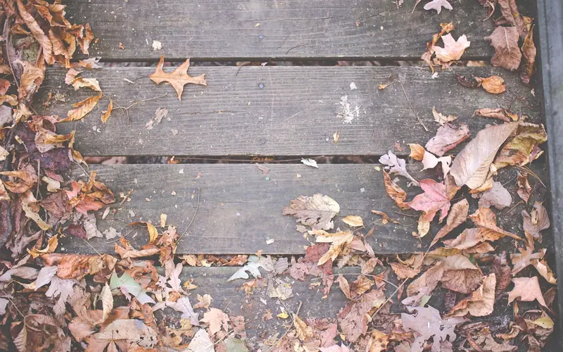 Worn gray deck boards covered in fall leaves before cleaning and restaining Worn gray deck boards covered in fall leaves before cleaning and restaining