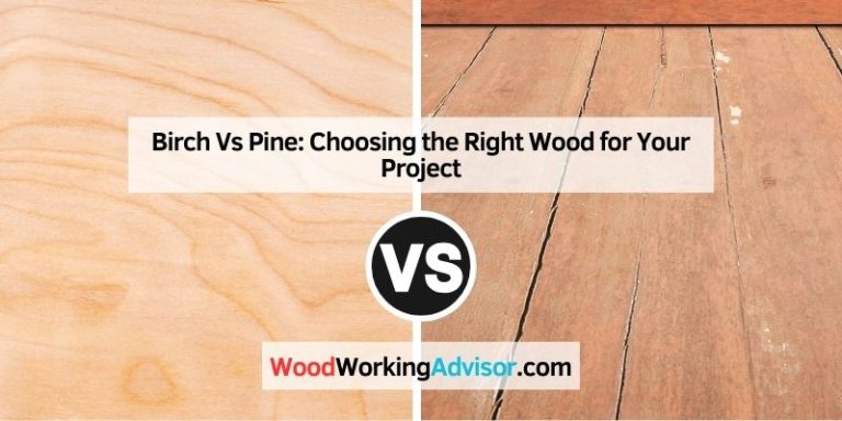 Birch Vs Pine