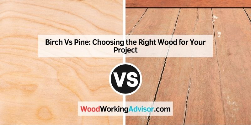 Birch Vs Pine