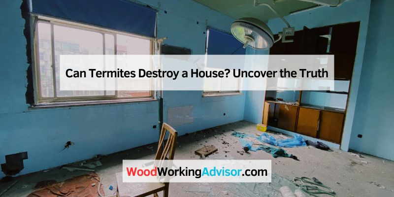Can Termites Destroy a House