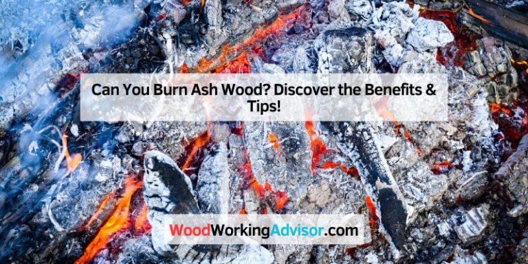 Can You Burn Ash Wood
