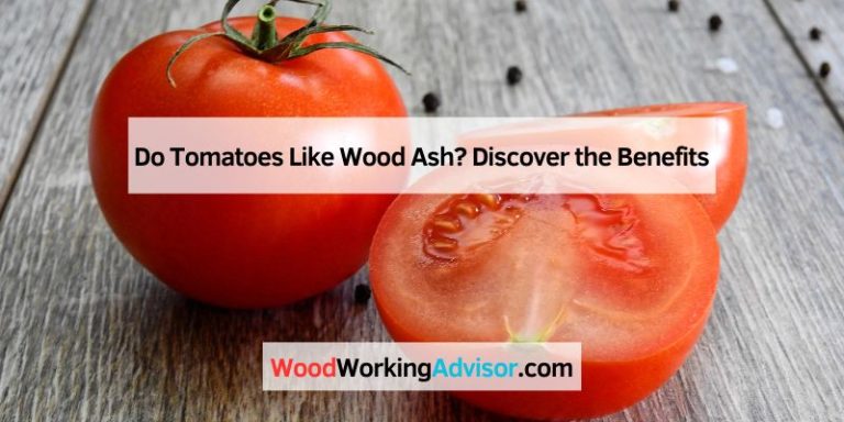 Do Tomatoes Like Wood Ash