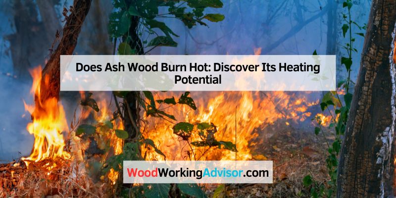 Does Ash Wood Burn Hot