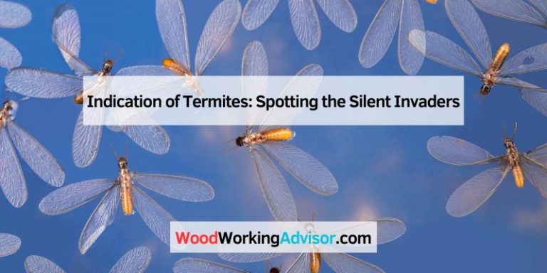 Indication of Termites