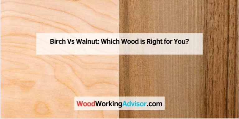 Birch Vs Walnut