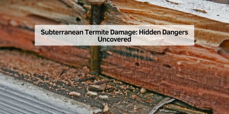 Subterranean Termite Damage: