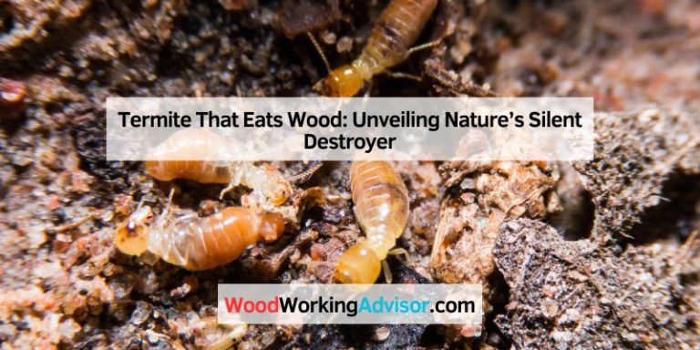 Termite That Eats Wood