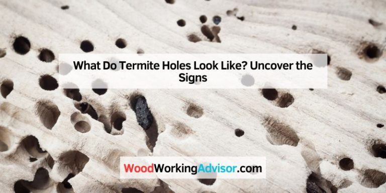 What Do Termite Holes Look Like