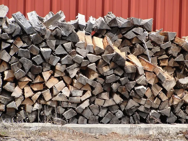 Stacked seasoned ash firewood pile drying outdoors
