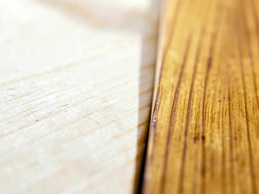 Close-up of fresh pale ash wood grain next to a section aged to a warm amber tone